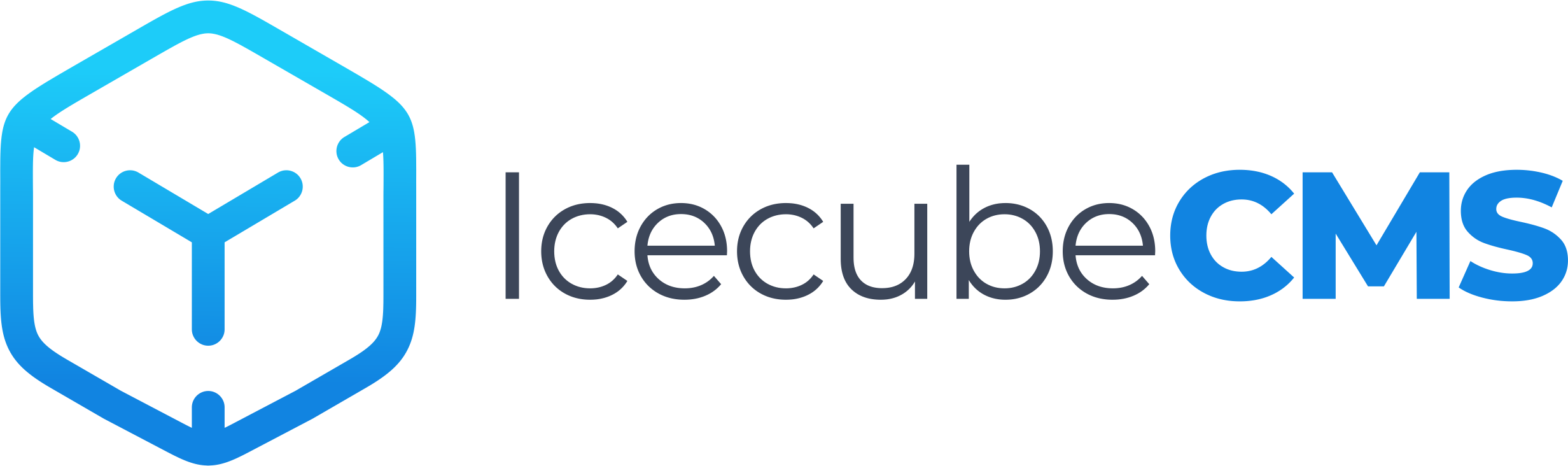 Icecube logo